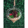 Planta de flor suculenta artificial Mini com vaso de vidro